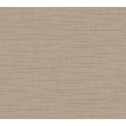 Tiger's Eye Wallpaper | Jeffrey Stevens