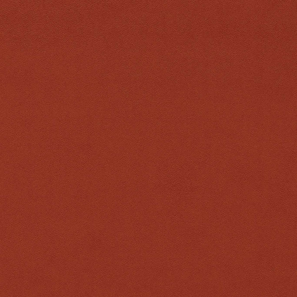 Dorton Chilli | Sanderson