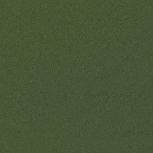 Dorton Cactus | Sanderson