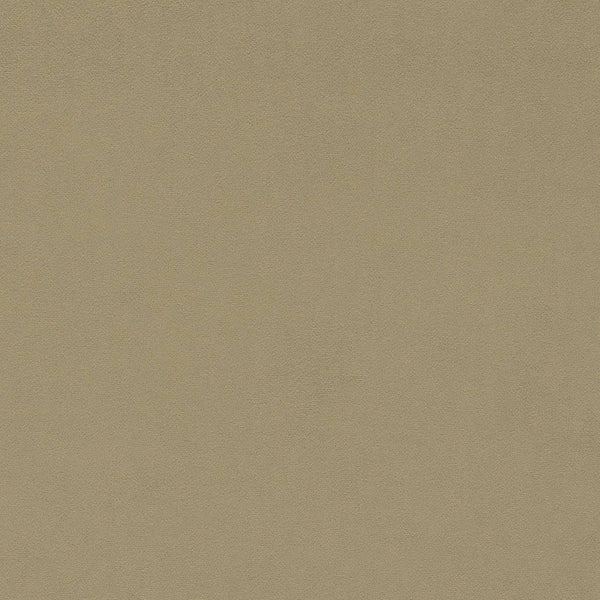 Dorton Oatmeal | Sanderson