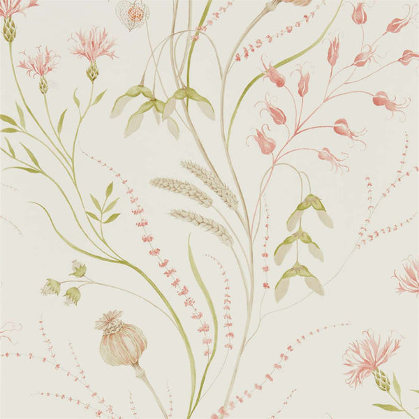 Summer Harvest Claret/Olive | Sanderson