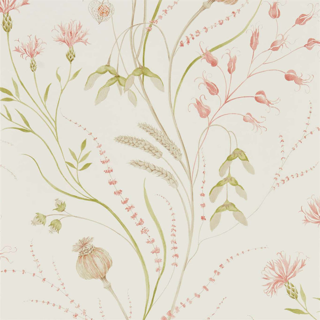 Summer Harvest Claret/Olive | Sanderson