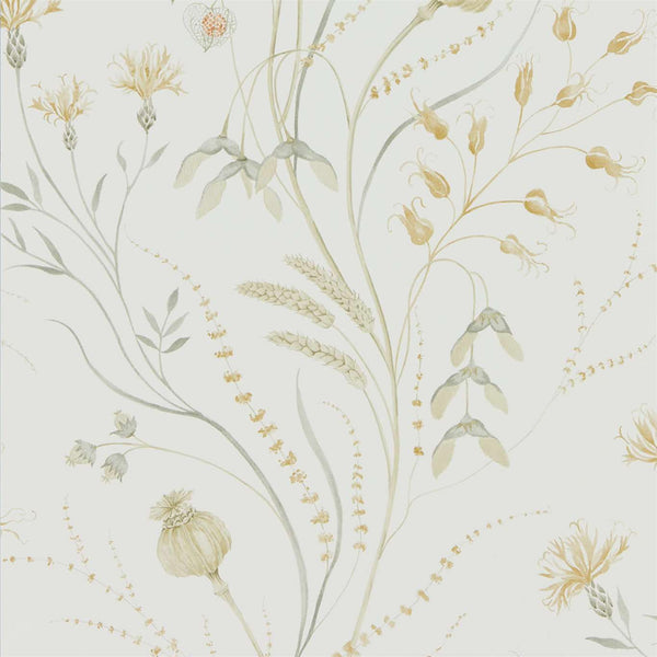 Summer Harvest Silver Corn | Sanderson