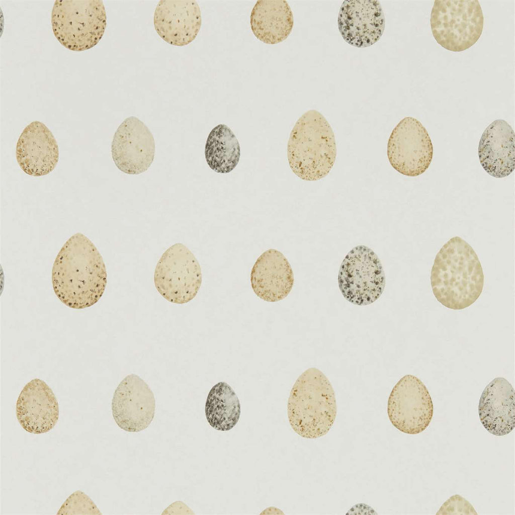 Nest Egg Corn Graphite | Sanderson