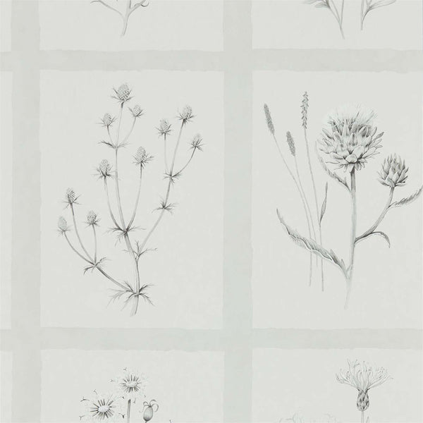 Little Thistles Pewter | Sanderson