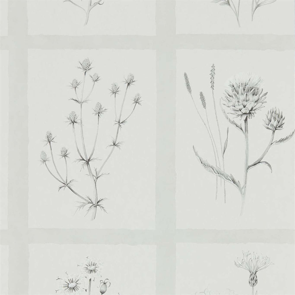 Little Thistles Pewter | Sanderson