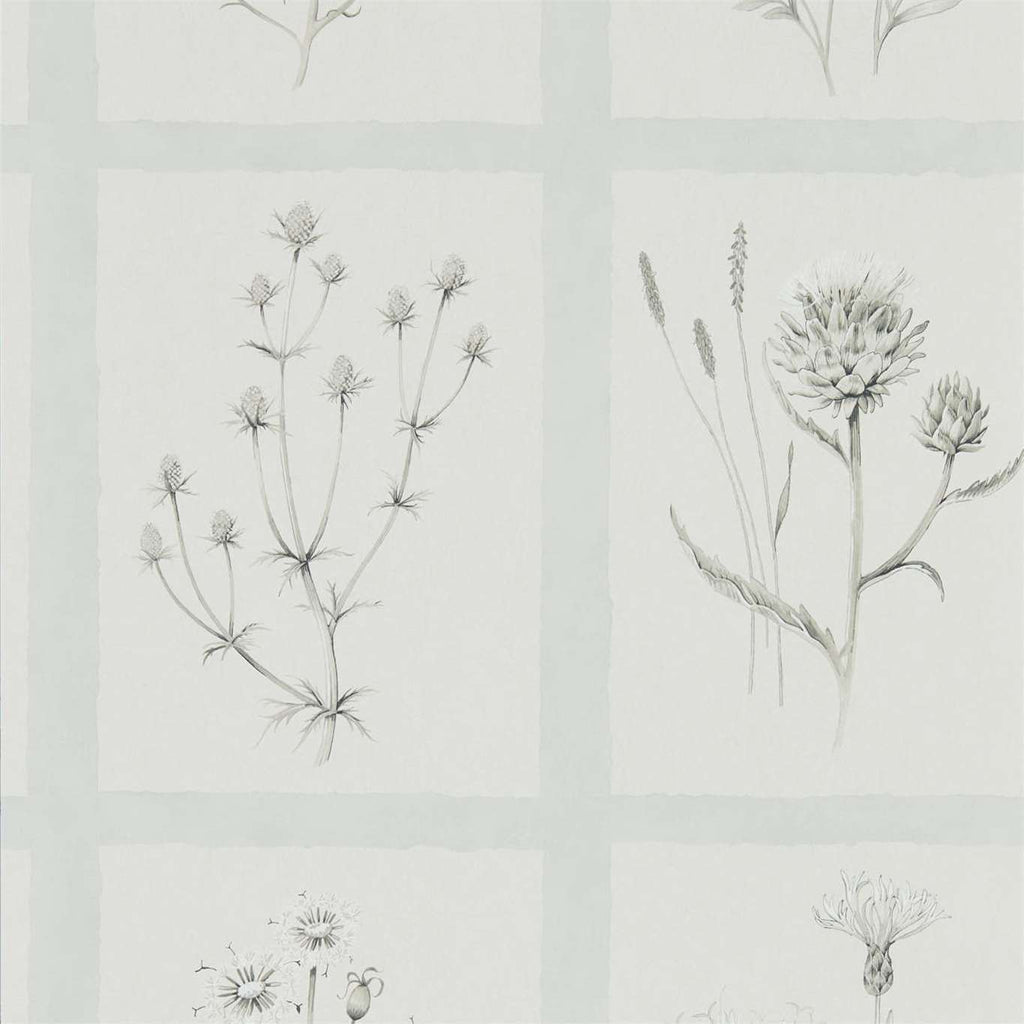Little Thistles Grey Blue | Sanderson