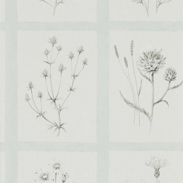 Little Thistles Grey Blue | Sanderson