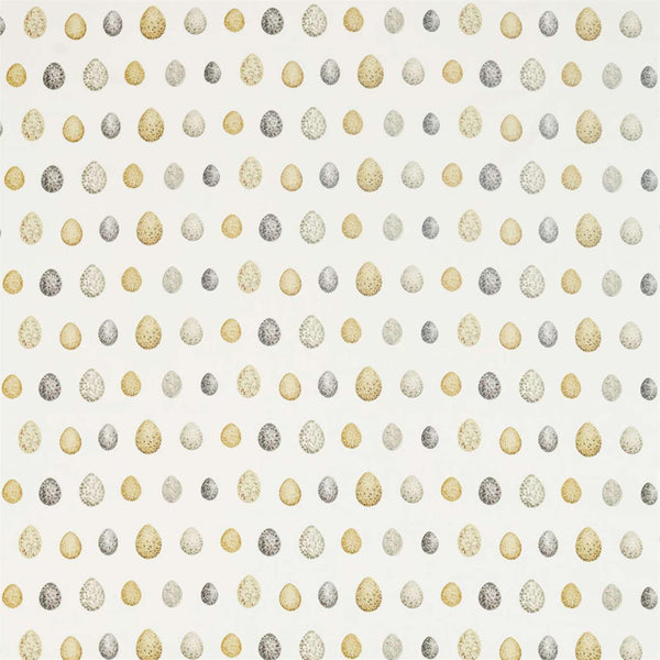 Nest Egg Corn/Graphite | Sanderson