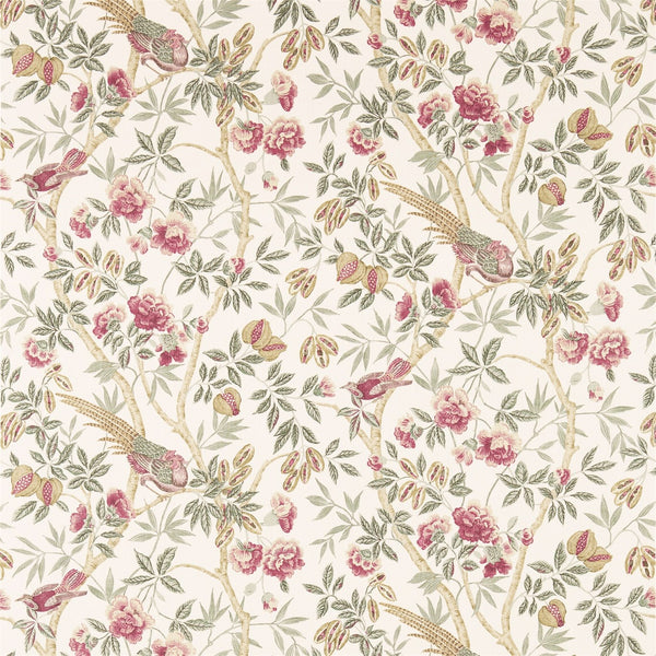 Aesop’S Fables Pink | Sanderson