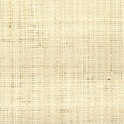 Looks Like Raffia - Icebox Cream wallcovering | Donghia