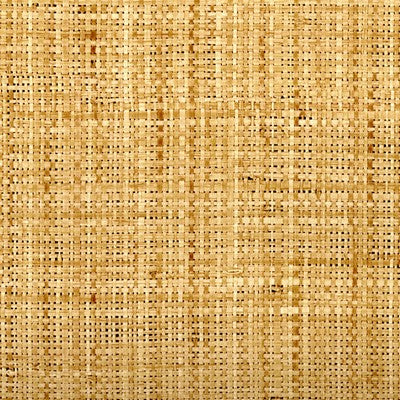 Looks Like Raffia - Wicker Brown wallcovering | Donghia