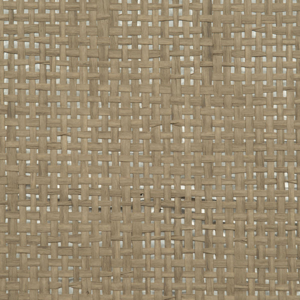 Desert Grass - Natural Silver wallcovering | Donghia