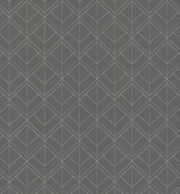 Madrid Borderline Graphite Wallcovering | Phillipe Romano