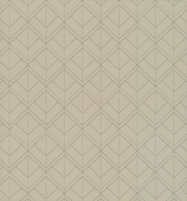 Madrid Borderline Mineral Wallcovering | Phillipe Romano