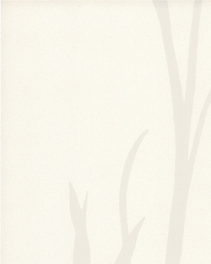 Rome Wisp Opalite Wallcovering | Phillipe Romano