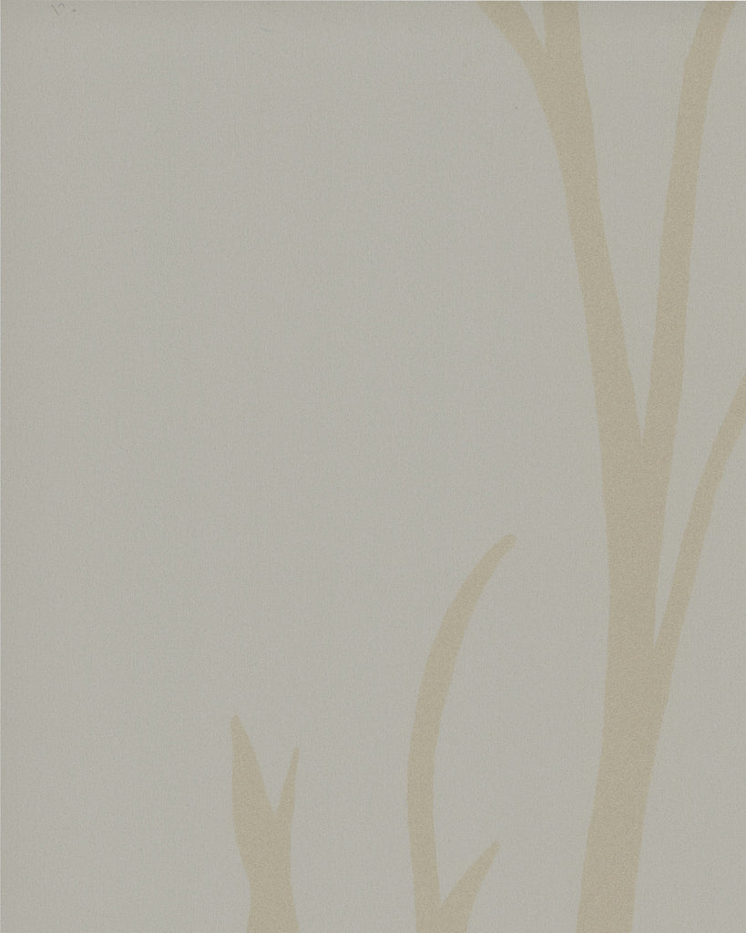 Rome Wisp Inner Spirit Wallcovering | Phillipe Romano