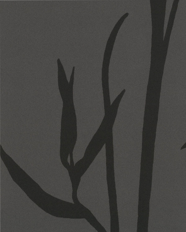 Rome Wisp Smokey Pearl Wallcovering | Phillipe Romano