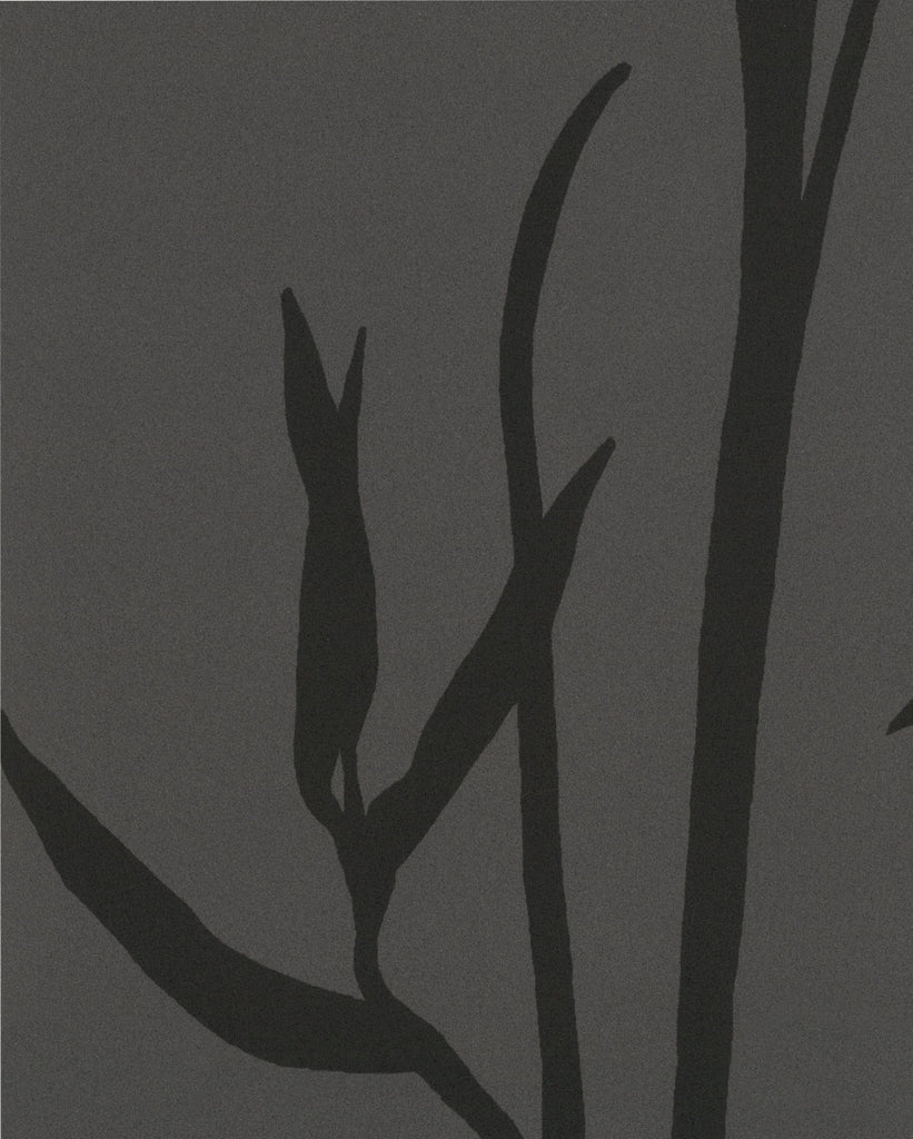 Rome Wisp Smokey Pearl Wallcovering | Phillipe Romano