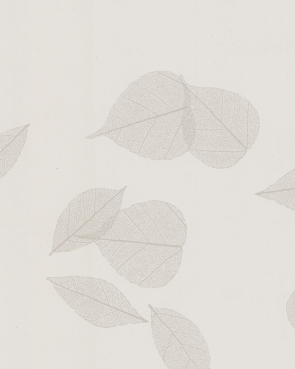 Rome Bodhi Whisper Wallcovering | Phillipe Romano