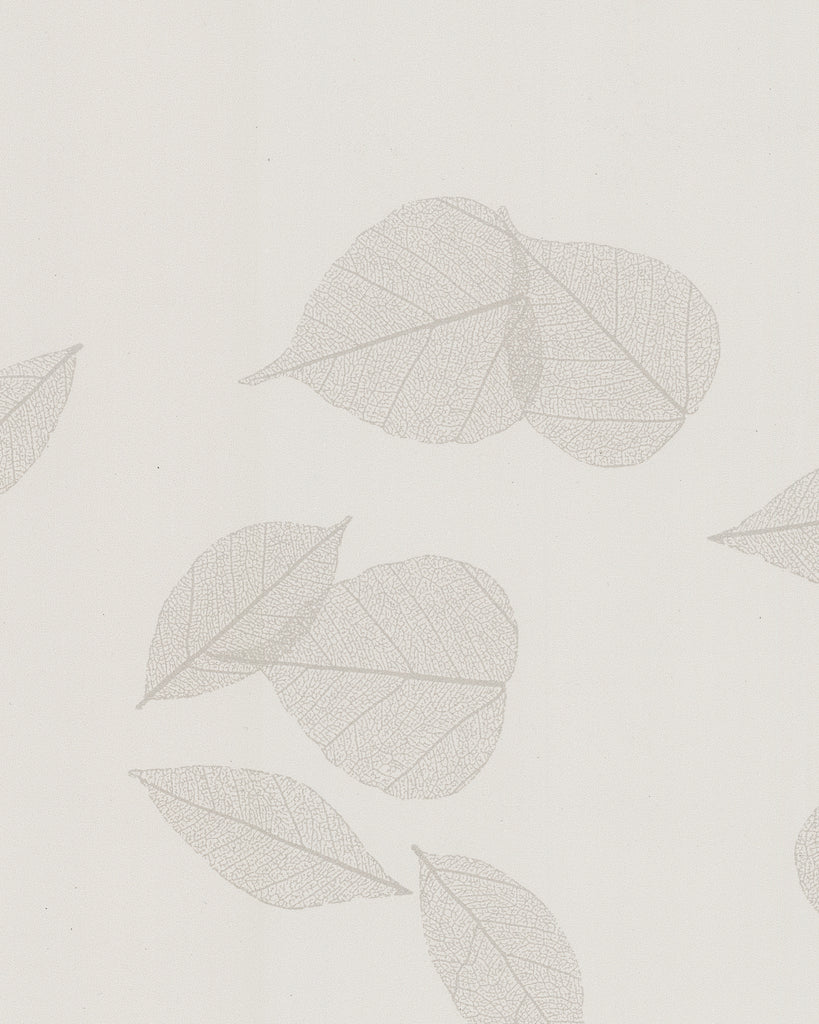 Rome Bodhi Whisper Wallcovering | Phillipe Romano