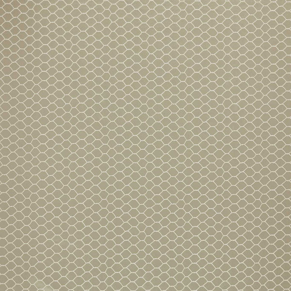 Bantam Net Antonius | Sanderson