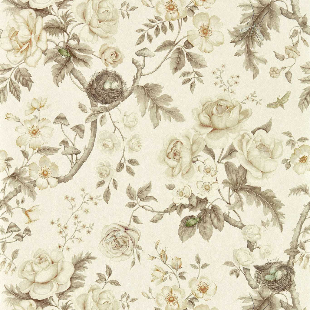 Tansy Bloom Atlantis | Sanderson detail 2