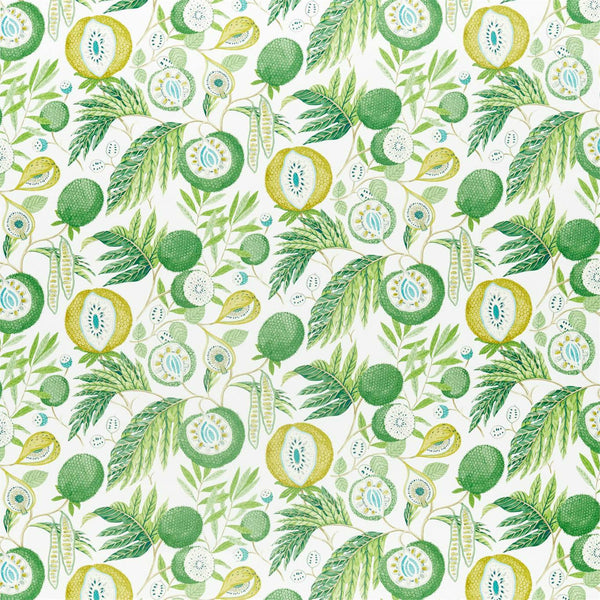Jackfruit Jackfruit Botanical Green | Sanderson