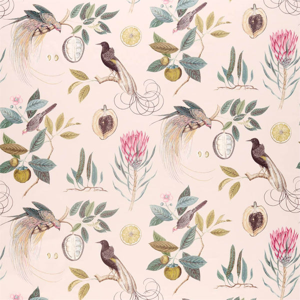 Paradesia Orchid/Grey | Sanderson