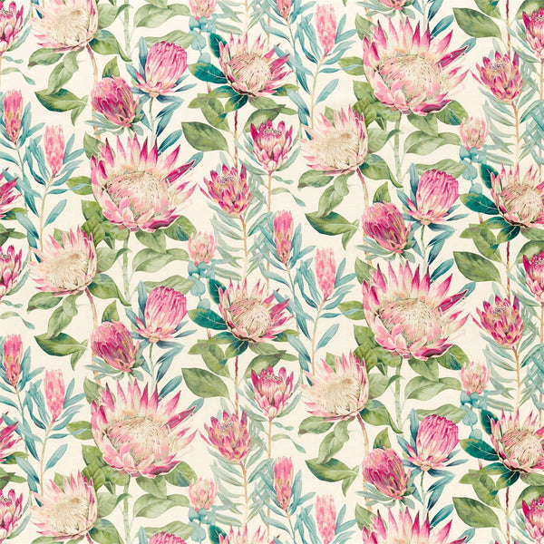 King Protea Rhodera | Sanderson