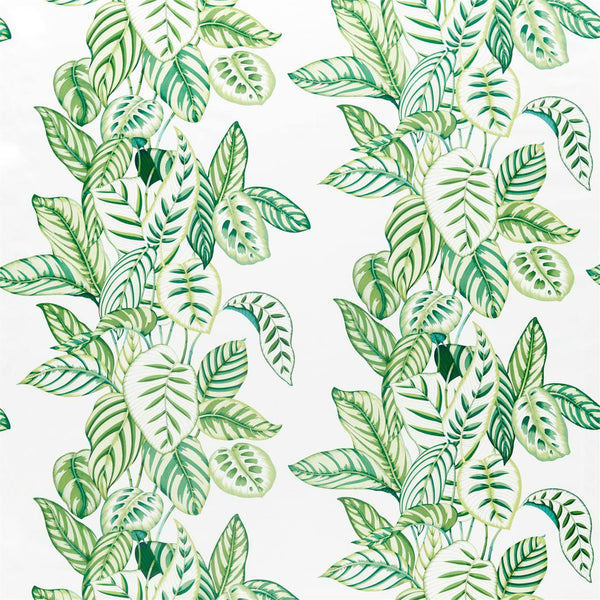 Calathea Botanical Green | Sanderson