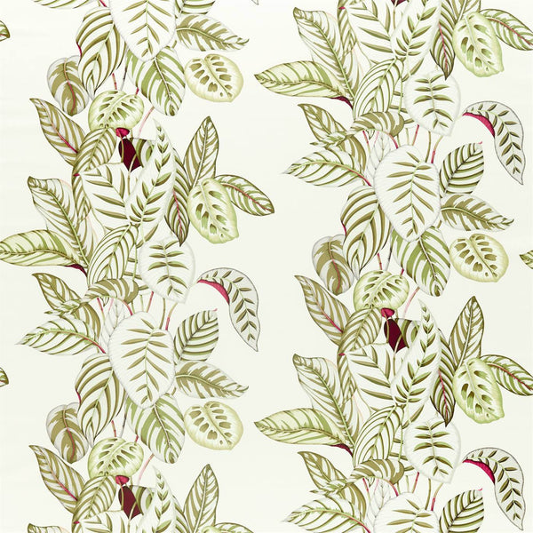 Calathea Olive | Sanderson