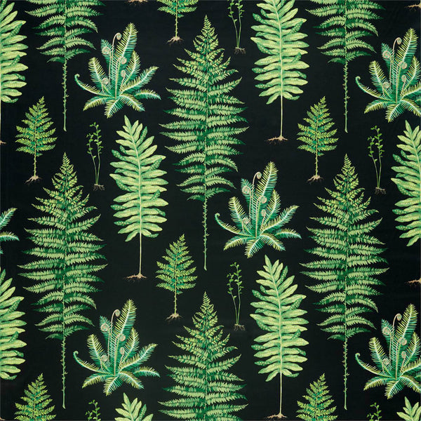 Fernery Botanical Green/Charcoal | Sanderson