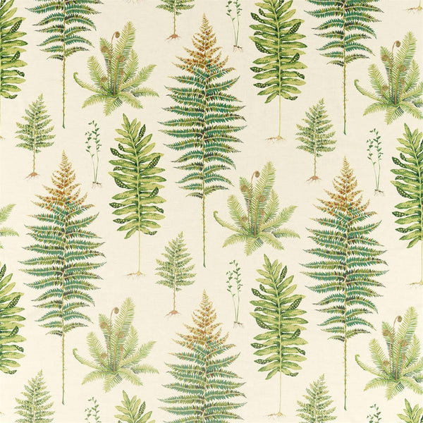 Fernery Olive | Sanderson