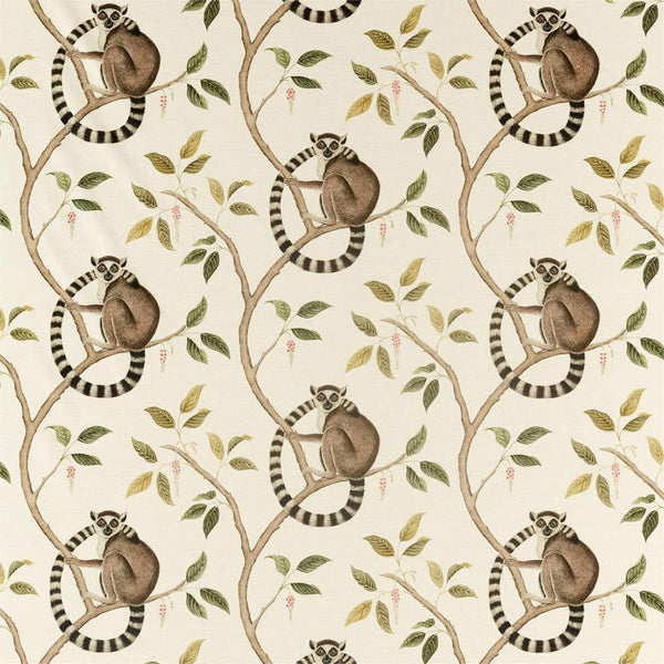 Ringtailed Lemur Ringtailed Lemur Olive | Sanderson