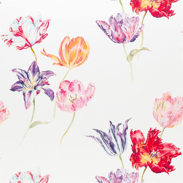 Tulipomania Tulipomania Botanical | Sanderson