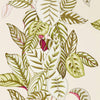 Calathea