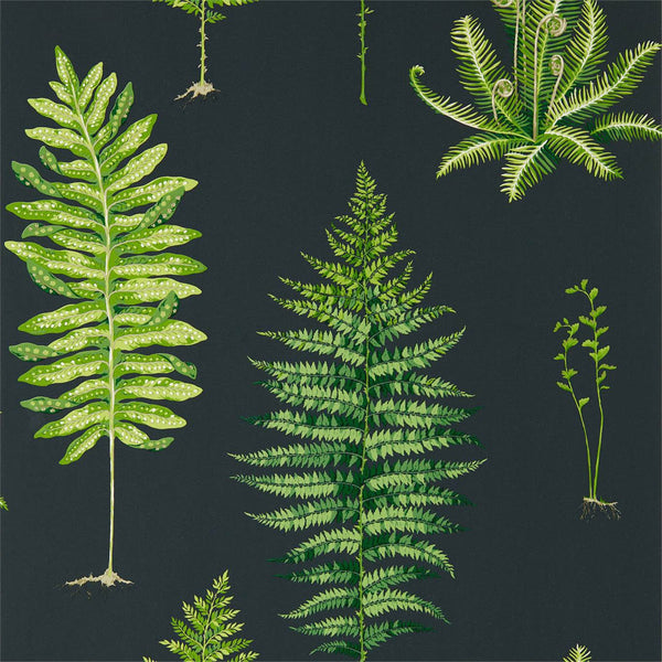 Fernery Botanical Green/Charcoal | Sanderson