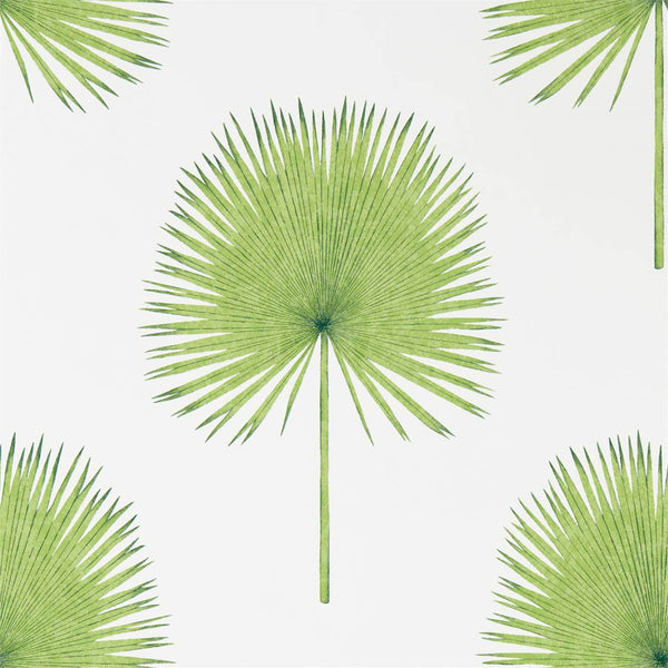 Fan Palm Botanical Green | Sanderson