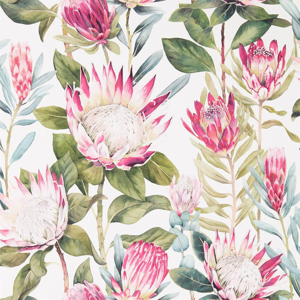 King Protea Rhodera/Cream | Sanderson