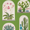 Terrariums Rhodera/Multi | Sanderson detail 2