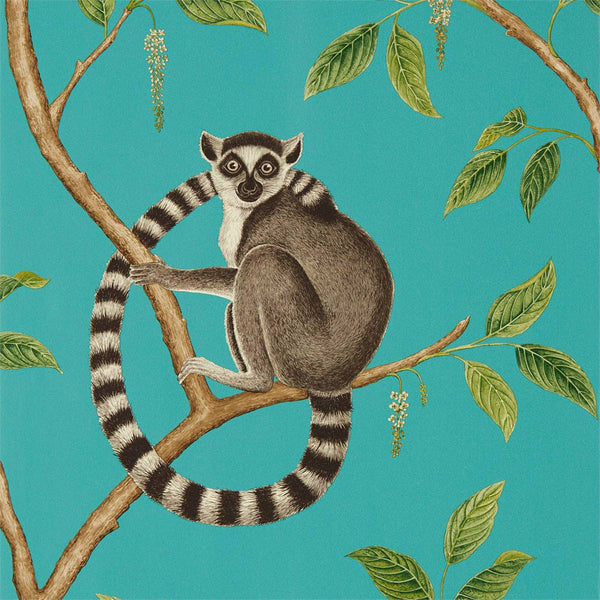 Ringtailed Lemur Teal | Sanderson