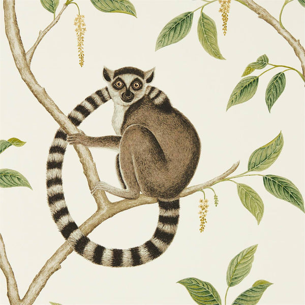 Ringtailed Lemur Ringtailed Lemur Cream/Olive | Sanderson