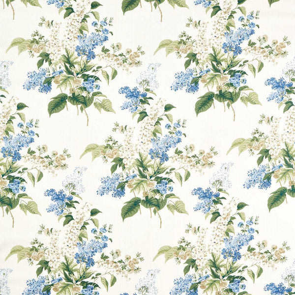 Delphinium & Lilac Larkspur Blue | Sanderson