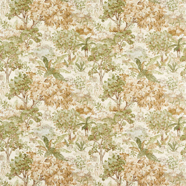 The Stumpery Lichen | Sanderson