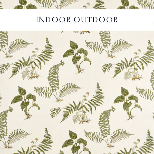 Hosta & Fern Indoor Outdoor Olivine | Sanderson