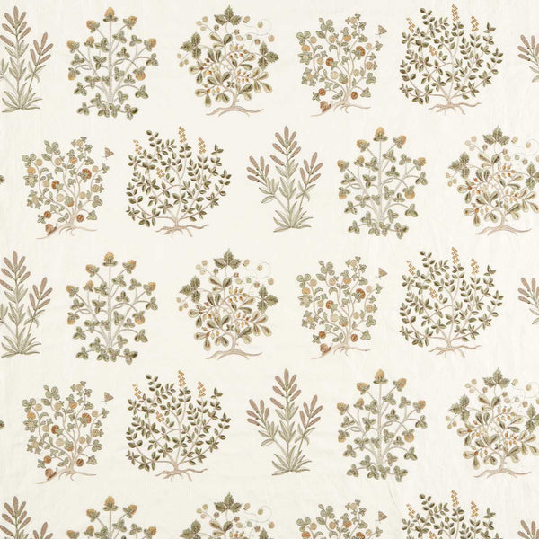 Thyme Walk Lichen/Gooseberry | Sanderson