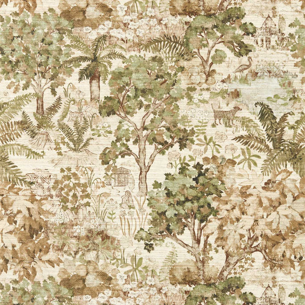 The Stumpery Lichen | Sanderson