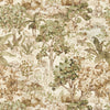 The Stumpery Lichen | Sanderson