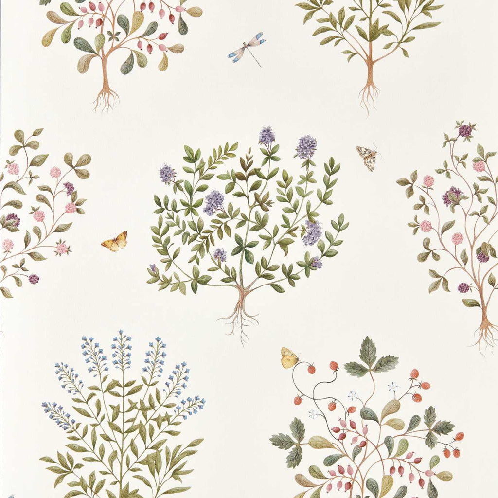 Thyme Walk Damson/Quince | Sanderson
